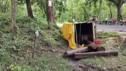 बालाघाट: कंजई घाटी के पास सागौन से भरी पिकअप पलटी, चार तस्कर फरार, लालबर्रा वन विभाग की बड़ी कार्रवाई