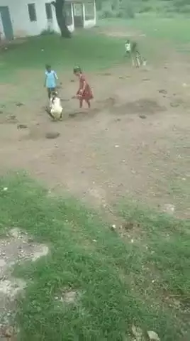 ग्राम चाचा खेड़ी कानड़  आगर  
संजय मालवीय के द्वारा मुझे व्हाट्सएप पर अवगत कराया