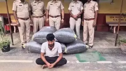 भिनाय: बांदनवाड़ा में CHC के सामने NH-48 पर पुलिस ने नाकाबंदी कर पिकअप से 100KG अवैध डोडा पोस्त किया ज़ब्त, आरोपी गिरफ्तार