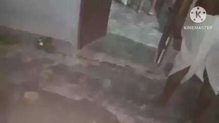 সোণাৰি: ৰজাঢাপ নামঘৰত অতি বিষাক্ত সাপ উদ্ধাৰ, প্ৰকৃতি প্ৰেমী নয়নমণি গগৈয়ে উদ্ধাৰ কৰে সাপডাল