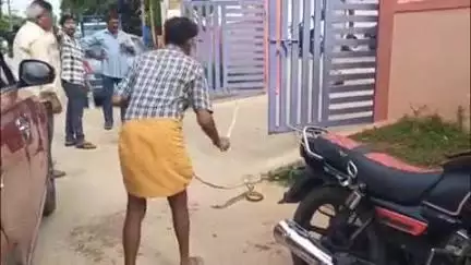 నాగలాపురం పోలీస్ స్టేషన్ వద్ద జెర్రిపోతు పాము హల్చల్
