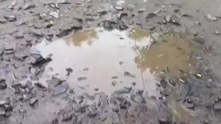 লালগোলা: লালগোলার পাহাড়পুর মোড় থেকে সাহাবাদ পর্যন্ত রাস্তার বেহাল দশা  সংস্কারের দাবি এলাকাবাসীর #jansamasya