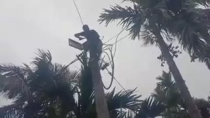 दिघलबैंक: पॉवर हाउस में मेंटेनेंस के कारण दिघलबैंक में 11 बजे तक बिजली बाधित रहेगी: SDO