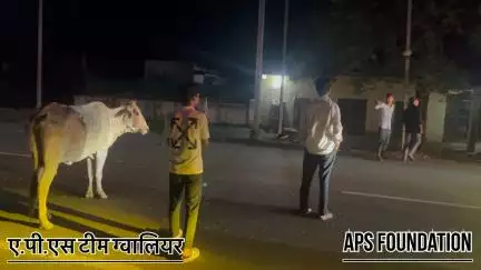दो बार दुर्घटनाएं हुईं लेकिन फिर भी गौमाता सुरक्षित है

Respect Girls help poor help animals 

#apsgurjar #help #viral #support #gwalior