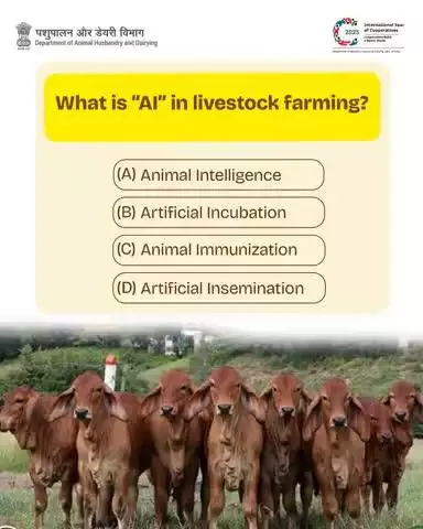 Do you know what “AI” means in livestock farming?
Put your knowledge to the test!
Pick the right answer from the options below 👇
 💬Share your answer in the comments!
Let’s find out who nails it!