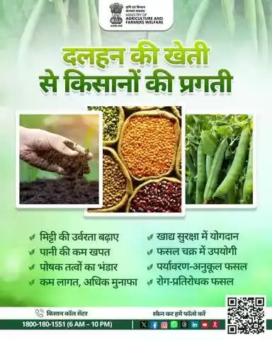 दलहन फसलें बढ़ाएं उपज और उर्वरता—संधारित मिट्टी, समृद्ध किसान!

#AgriGoI #Pulses #SustainableFarming