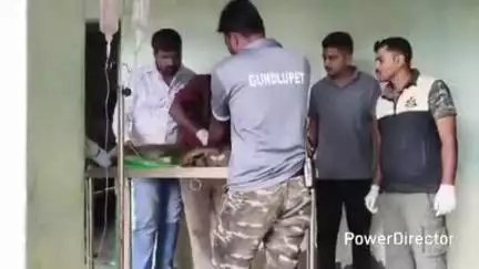ಗುಂಡ್ಲುಪೇಟೆ: ಕಂದೇಗಾಲ ಸಮೀಪ ಕೋತಿಗಳ ಸಾವು ಕೇಸ್: ಬದುಕುಳಿದಿದ್ದ ಎರಡು ಕೋತಿಗಳಿಗೆ ಚಿಕಿತ್ಸೆ, ಶ್ವಾನದಳ ಭೇಟಿ