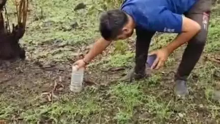 शहपुरा: करौंदी गांव के शिक्षक के घर में निकला दुर्लभ सर्प, सर्प मित्र ने रेस्क्यू कर सुरक्षित जंगल में छोड़ा