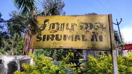 திண்டுக்கல் கிழக்கு: சிறுமலையில் பூச்சி மருந்து சாப்பிட்டு தொழிலாளி தற்கொலை