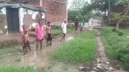 कौंच: ग्राम बिरगुवां बुजुर्ग में गंदगी और झाड़ियों के चलते ग्रामीण परेशान, आवागमन में आ रही समस्या