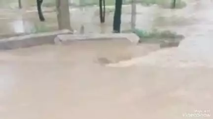 मालपुरा: मालपुरा उपखण्ड क्षेत्र में 147 मिमी, लाम्बाहरिसिंह में 235 मिमी हुई बरसात, मालपुरा के बम्ब तालाब की चली चादर