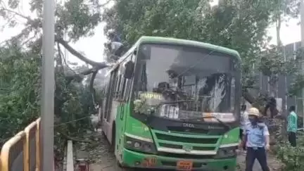 हवेली: ठेकेदारांच्या निष्काळजीपणामुळे चिंचवड-आकुर्डी रोडवर मोठं झाड पीएमपीएमएल बसवर कोसळलं; ५ ते ७ प्रवासी गंभीर जखमी