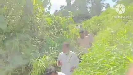 সোণাৰি: অভয়পুৰ সংৰক্ষিত বনাঞ্চল ধ্বংস গৰাহত,সোণাৰি অভয়পুৰ সংৰক্ষিত বনাঞ্চলত পৰিদৰ্শন কৰি ক্ষোভ প্ৰকাশ এজেৱাইচিপিৰ সভাপতি