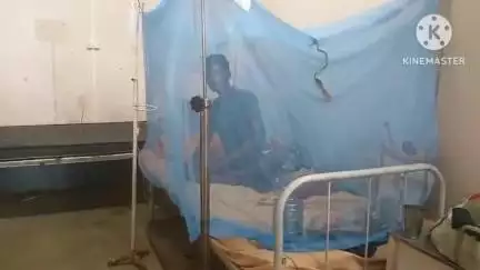 পুরুলিয়া ২: পুরুলিয়া ২ নং ব্লক এলাকায় প্রথম ম্যালেরিয়া সংক্রমণ ধরা পড়লো ডুমুরডি গ্রামে, ভর্তি হাসপাতালে