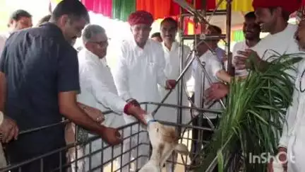 सिरोही: पंजाब के राज्यपाल गुलाबचंद कटारिया के दौरे के दौरान पावापुरी तीर्थ जीव मेत्री धाम में लगाया अर्जुन का पौधा