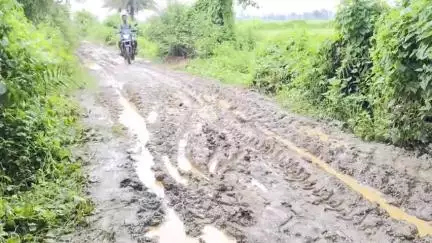 বিনপুর ২: বৃষ্টির কারণে বেহাল দশা তামাজুড়ি জোড়বাঁধ থেকে কানকিডাঙ্গা যাওয়ার প্রায় ১ কিঃমিঃ মাটির রাস্তা #jansamasya