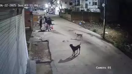 कोलगवां: शिव कॉलोनी में चोरी, CCTV में कैद वारदात, पीड़ित ने थाने में रिपोर्ट दर्ज कराई