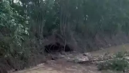 थानेसर: कुरुक्षेत्र: नेसी गांव में मारकंडा नदी का तटबंध टूटा, 20 फुट चौड़ा हिस्सा बहा, खेत डूबे