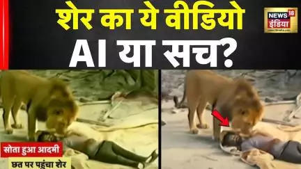 Gujarat Lion Video: Amreli में शेर को छत पर देख, जान बचाकर भागा आदमी | Viral Video | Hindi News
