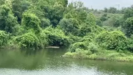 ગરૂડેશ્વર: એકતા નગર ના ગભાણા બ્રિજ ના નીચેથી લાશ મળી પોલીસને જાણ થતા ઘટના સ્થળે દોડી આવી.