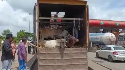 কাঁকসা: কাঁকসার বাঁশকোপা টোল প্লাজায় গরু বোঝাই কন্টেনার আটকে বিক্ষোভ বিজেপির,চালক কে গণধোলাই,ঘটনাস্থলে কাঁকসা থানার পুলিশ