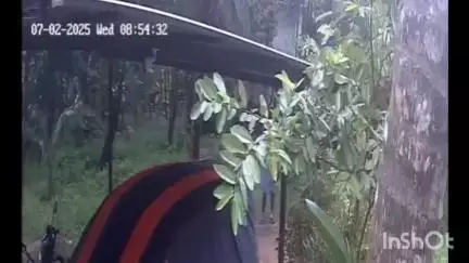 പൊന്നാനി: വെളിയങ്കോട് സ്കൂൾ വിദ്യാർത്ഥിയെ ആക്രമിക്കാൻ പാഞ്ഞടുത്ത് തെരുവുനായ കൂട്ടം, സി.സി.ടി.വി ദൃശ്യം