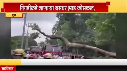 पुणे शहर: पिंपरी चिंचवड मध्ये निगडीकडे जाणाऱ्या बसवर झाड कोसळलं, सुदैवाने जीवितहानी झाली नाही
