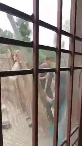मझौलिया: मझौलिया मझरिया शेख में ज़मीन विवाद में दो पक्षों के बीच मारपीट, वीडियो वायरल
