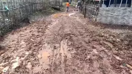बालाघाट: कई योजनाएं फिर भी विकास से दूर आदिवासी गांव, बारिश में कीचड़ भरी सड़क बनी मुसीबत, कटंगी का मामला #jansamsya
