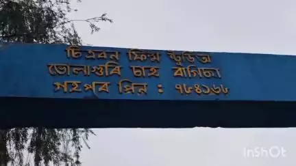 হেলেম: নেৰানেপেৰা বৰষুণত বালিজান নৈৰ মথাউৰি ভাঙি প্লাবিত হৈছে ভোলাগুৰি চাহ বাগিছা, অসহায় সহস্ৰাধিক ৰাইজ #jansamasya