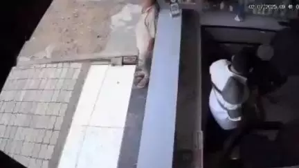 कानपुर: चकेरी के सनिगवा में मेडिकल स्टोर में दिनदहाड़े ₹20,000 की चोरी, सीसीटीवी कैमरे में कैद हुआ चोर