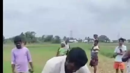 మహానంది మండలం బొల్లవరం గ్రామంలో పంట పొలాల్లో 12 అడుగుల భారీ కొండచిలువ. చాకచక్యంగా బంధించిన స్నేక్ క్యాచర్