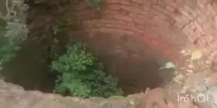 सोहागपुर: पिपरिया गांव में कुएं में गिरी गाय, अटल कामधेनु गौ सेवा संस्थान ने रेस्क्यू कर बाहर निकाला