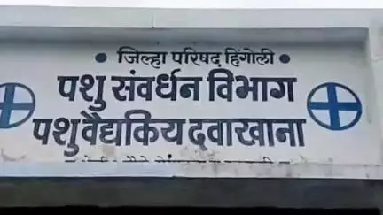 कळमनूरी: डोंगरकडा येथील पशुवैद्यकीय दवाखान्यात जनावरावर लंपी रोगाचे लसीकरण पूर्ण