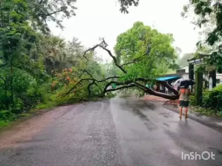 ବୀରମହାରାଜପୁର: ସୋନପୁର- ସମ୍ବଲପୁର ମୂଖ୍ୟରାସ୍ତାର ଏସପତ୍ରାପାଲି ପଞ୍ଚାୟତ ସମ୍ମୁଖରେ ବିରାଟ ଗଛପଡ଼ି ରାସ୍ତା ଅବରୋଧ, କାଟି ସଫକଲା ଉଲୁଣ୍ଡା ଅଗ୍ନିଶମ ବାହିନୀ