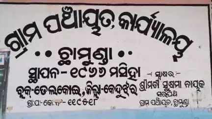 ତେଲକୋଇ: ଗୋଳାବନ୍ଧ ଧାନ ତଳିକୁ ମାଡ଼ି ନଷ୍ଟକଲେ ପଲୁଆ ହାତୀ, ଚଳିତ ବର୍ଷ ହାତୀଙ୍କ କବଳରୁ କିପରି ଧାନ ଚାଷକୁ ରକ୍ଷା କରିବେ ଚିନ୍ତାରେ ଚାଷି