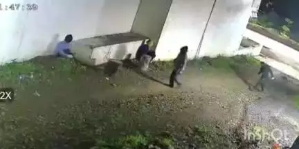 कुक्षी: बाग रोड़ कुक्षी में 4 नकाबपोश बदमाशों ने पान व किराना दुकान को बनाया निशाना, CCTV में कैद हुई घटना