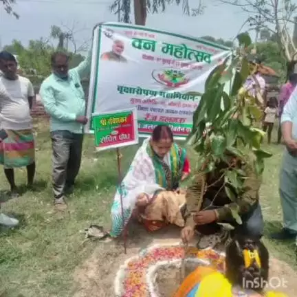 ऊंचाहार: उमरन गाँव में वन महोत्सव के तहत जिला पंचायत अध्यक्ष ने किया वृक्षारोपण