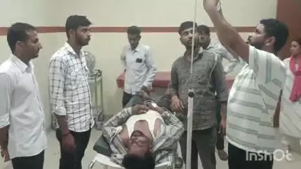 दांतारामगढ़: लाडपुर में मधुमक्खियों ने अंतिम संस्कार में गए लोगों पर किया हमला, 20 से ज्यादा लोग घायल