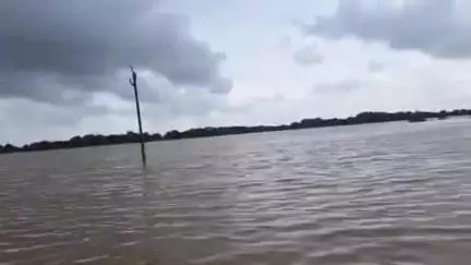 ଭୋଗରାଇ: ଭୋଗରାଇ ବ୍ଲକ ଅଞ୍ଚଳରେ ବିଭିନ୍ନ ଜାଗାରେ ବନ୍ୟା ପ୍ରଭାବିତ ଜାଗା ବୁଲି ସ୍ଥିତି ଅନୁଧ୍ୟାନ କଲେ ଭୋଗରାଇ  ବିଧାୟକ