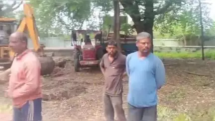 राहुरी: उंबरे स्मशानभूमीत बेसुमार वृक्षतोड, ग्रामपंचायत सदस्याची वन विभागाकडे कारवाई करण्याची मागणी