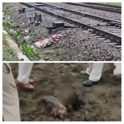 మధ్యప్రదేశ్‌లో భార్యను చంపిన వ్యక్తిని బిహార్‌లో పట్టుకున్న పోలీసులు, అనుమానంతో హత్య చేసి రైలు కింద పడేసిన భర్త