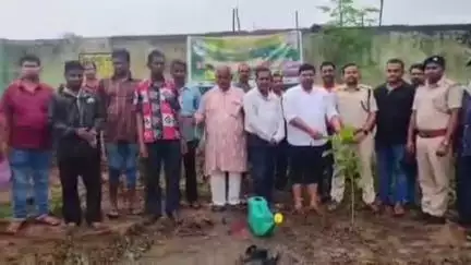 ଜୁନାଗଡ: ବନବିଭାଗ ପକ୍ଷରୁ ବନମହସବ ପାଲିତ, ଦ୍ଵିତୀୟ ଦିନରେ ବ୍ଲକ କାର୍ଯ୍ୟାଳୟ ପରିସରରେ ବୃକ୍ଷ ରୋପଣ