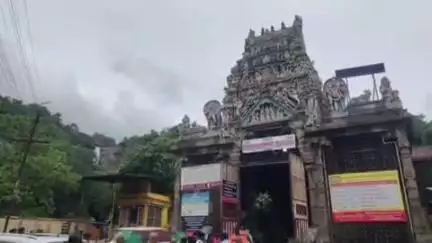 தென்காசி: 4 கிராம் தாலி, 70 ஆயிரம் சீர் வரிசையுடன் ஆனந்தமாக மணம்முடித்த ஜோடிகள்; மாவட்டத்தில் பல்வேறு ஆலயங்களில் இலவச திருமணங்கள்