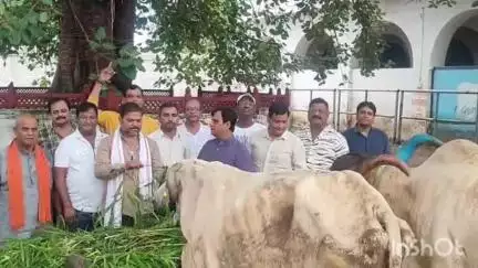राजसमंद: राजसमंद में भाजपा प्रदेश अध्यक्ष का 71वां जन्मदिन 'सेवा दिवस' के रूप में मनाया गया