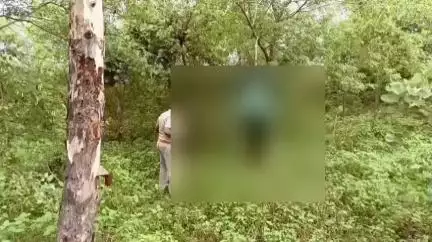 रीठी: जमुनिया मोड़ पर पेड़ से लटका मिला 56 वर्षीय व्यक्ति का शव, जाँच में जुटी पुलिस
