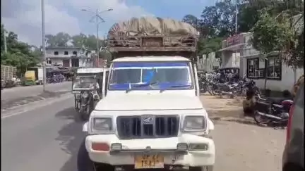 शाहबाद: मौलागंज बस स्टैंड पर केसरिया हिंदू वाहिनी के कार्यकर्ताओं ने हड्डी लदा पिकअप पकड़ा, पुलिस के हवाले किया