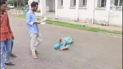 नीमच नगर: नीमच कलेक्ट्रेट में विधवा महिला ने कलेक्टर से लगाई न्याय की गुहार, राजस्व विभाग की टीम ने किया ज़मीन का मुआयना