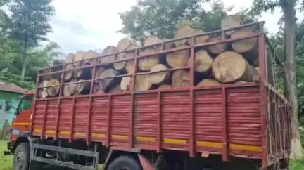 ডুমডুমা: কাকপথাৰত বন বিভাগৰ চোৰাং কুণ্ডা ভৰ্তি ট্ৰাক জব্দ