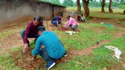 जशपुर: सहकारिता दिवस पर गम्हरिया, दुलदुला और आरा में वृक्षारोपण, स्वच्छता व उपविधि वाचन भी शामिल